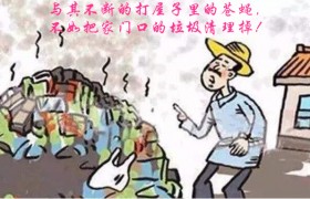 “打苍蝇”和“扫垃圾”的故事！(完美解答医院都治不好的病，为什么能调好)